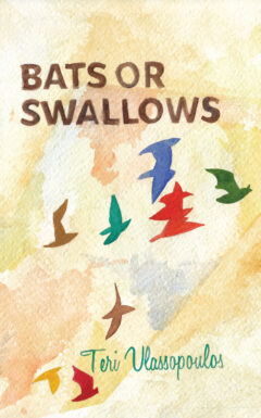 Bats or Swallows cover