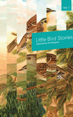 Cover: Little Bird Stories Volume 7