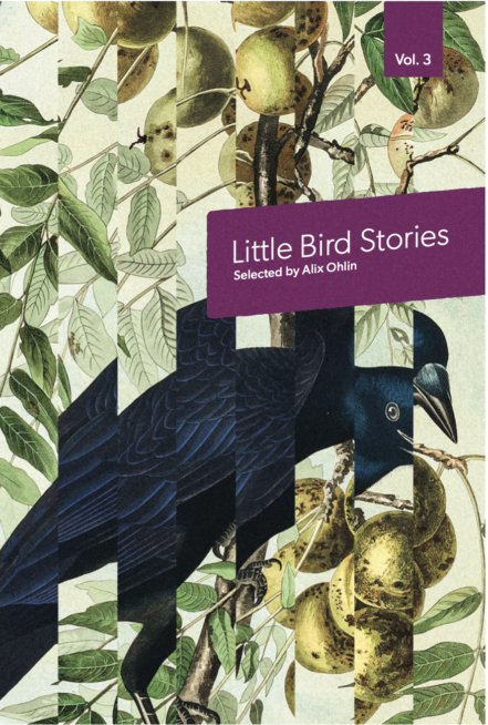 Little Bird Stories Volume 3