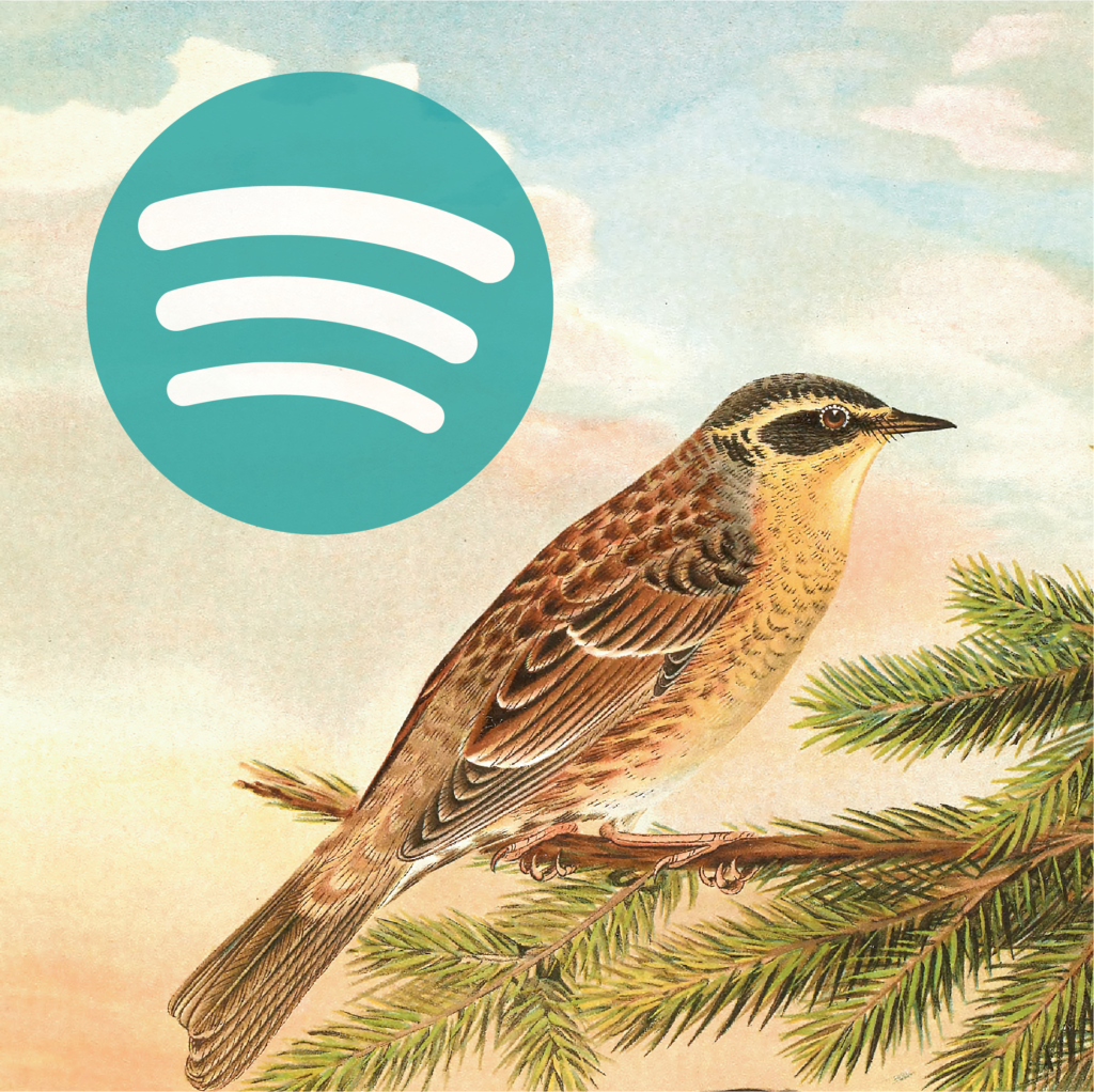 Bird and Spotify logo